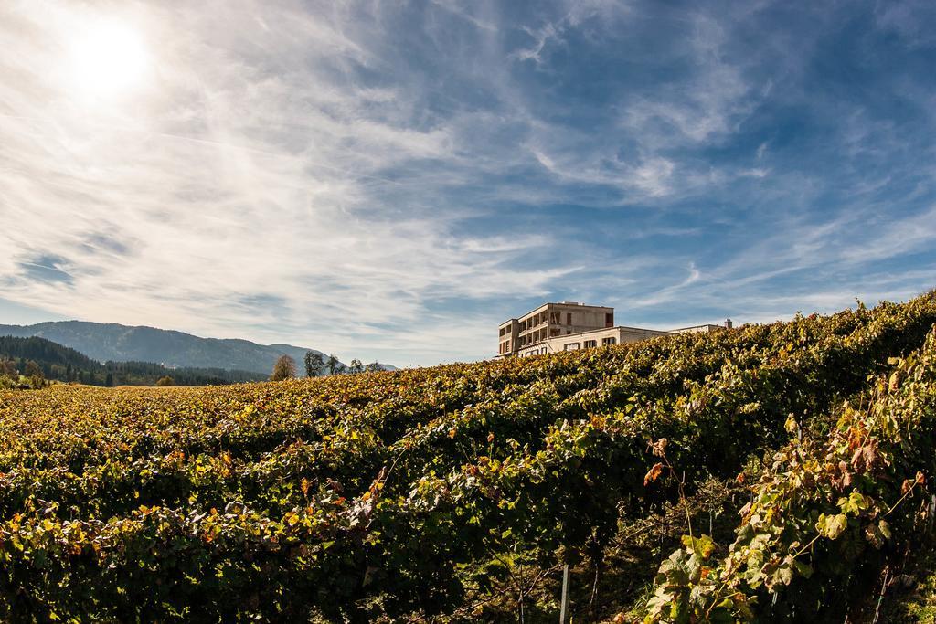 Trippelgut - Schlafgut Otel Feldkirchen in Kärnten Oda fotoğraf